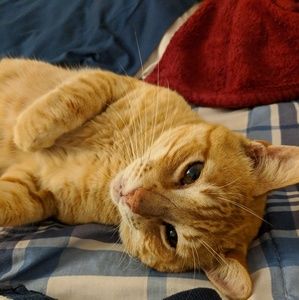 Meet your Posher, Laura